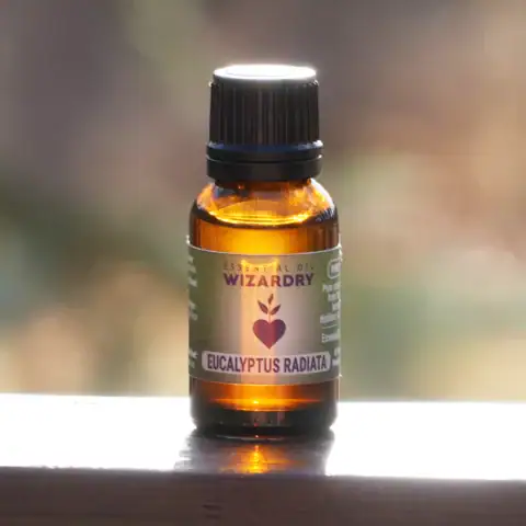 Eucalyptus oil