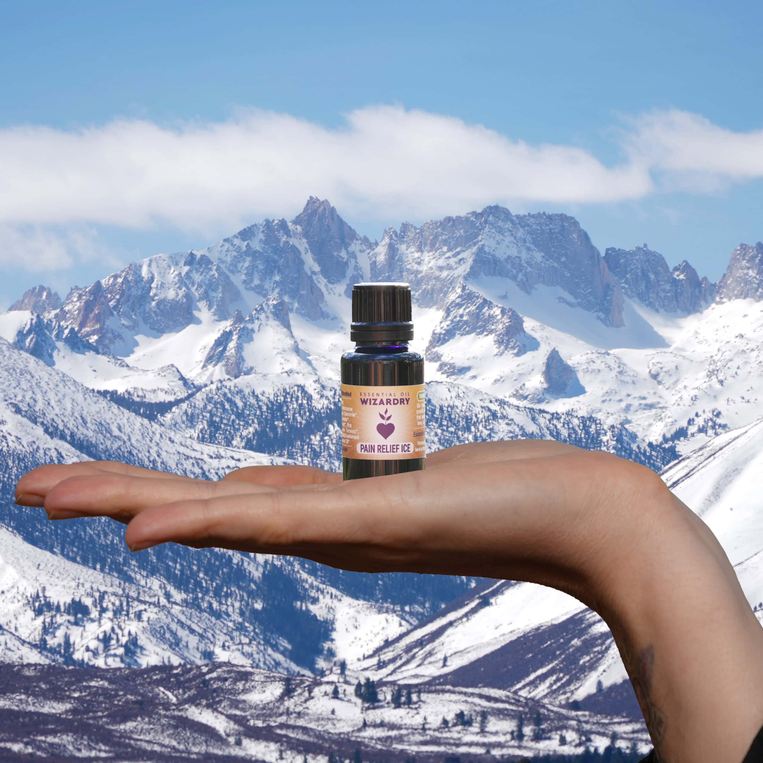 PAIN RELIEF ICE