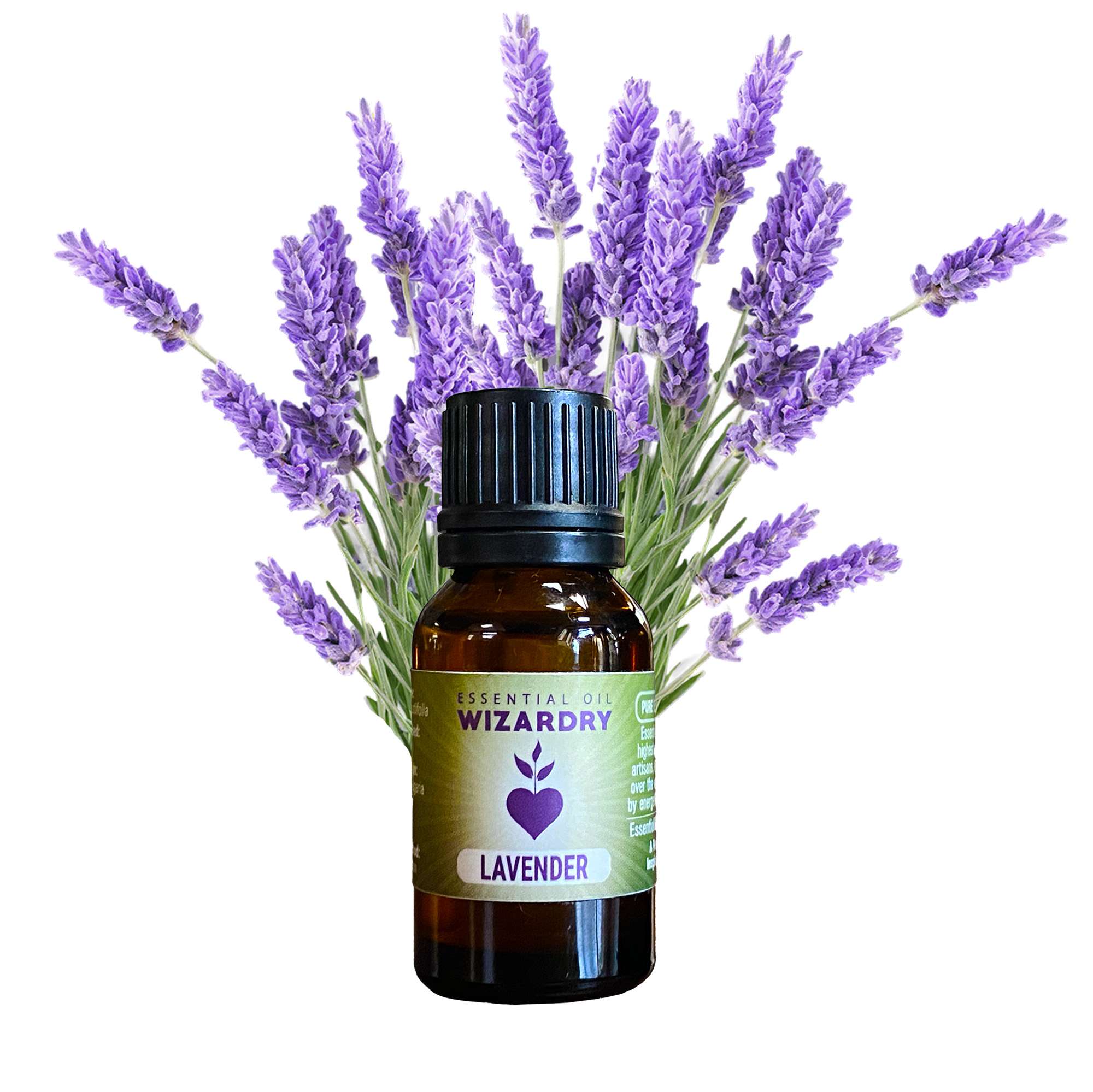Lavender essential oil with fresh lavender sprigs