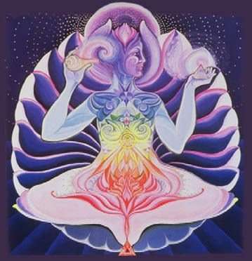 Light Warrior Oil