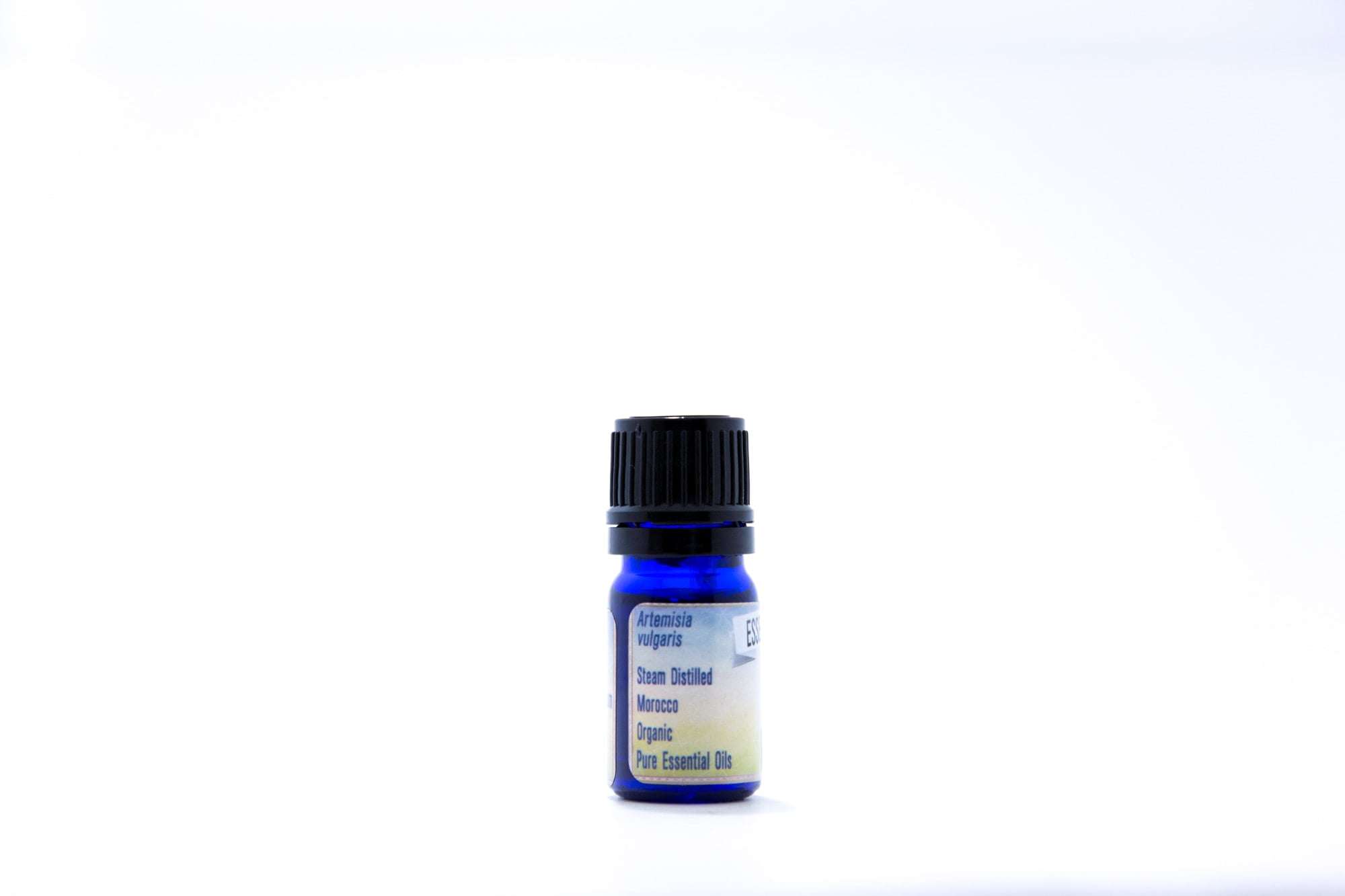 Mugwort Essential Oil