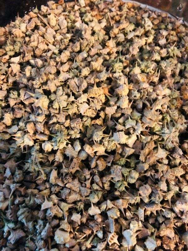 Ultrasonic Tribulus Tincture
