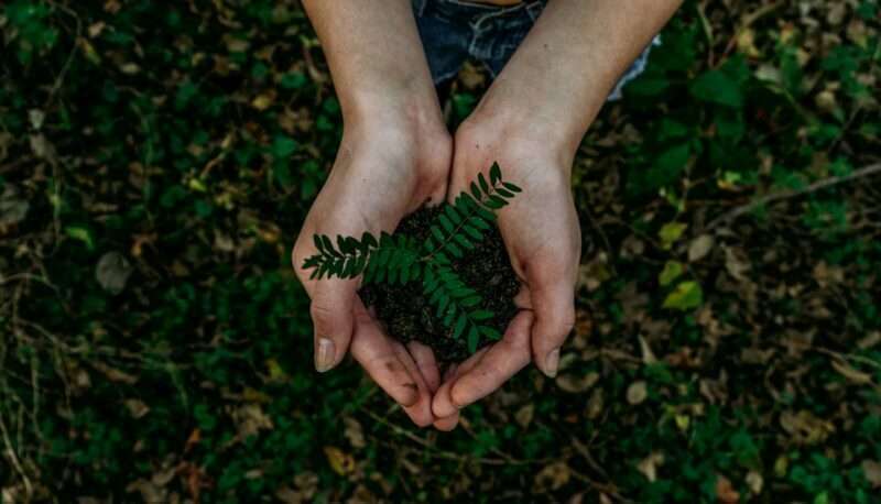 How to Connect to Nature With Essential Oils