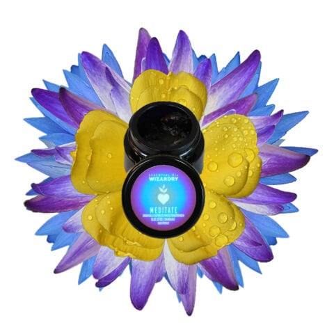 Meditate-resin-plants
